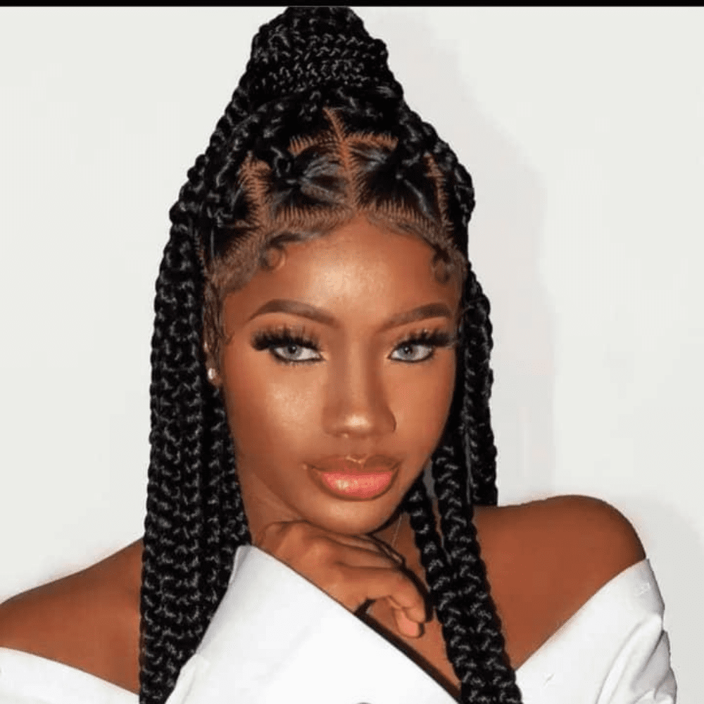 C-17.png Knotless Big Box Braid - Image 1